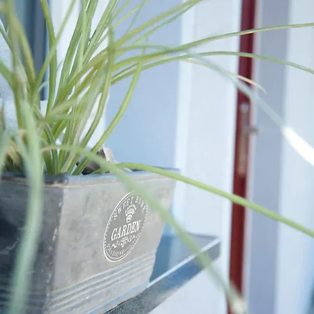 Haus Backbord Zirchow